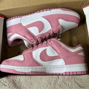 Nike Dunk NWT